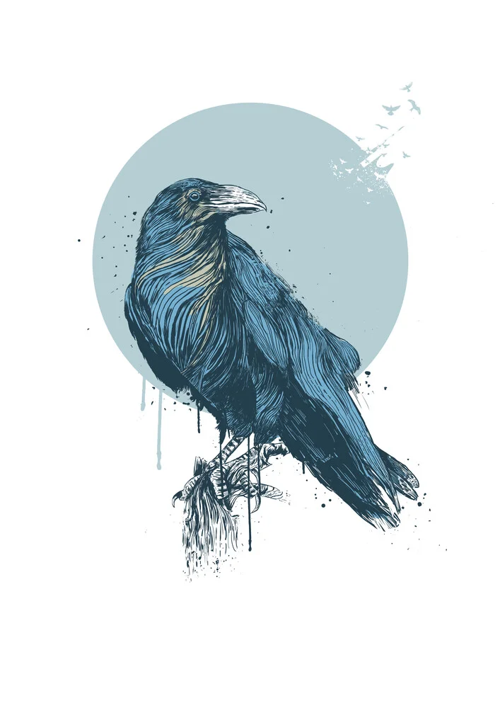 Blue crow - fotokunst von Balazs Solti