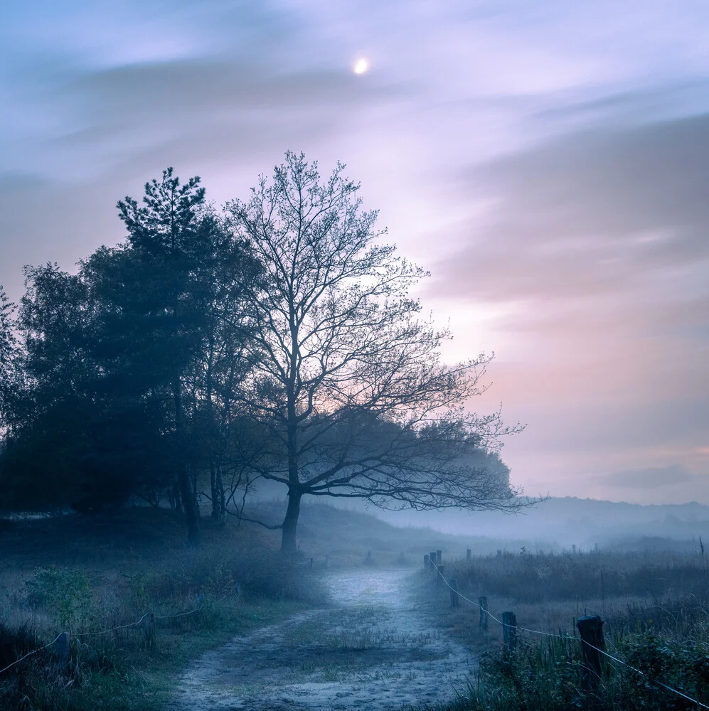 Ruhe nach dem Sturm - Nebel in den Boberger Dünen, Hamburg - fotokunst von Nils Steiner