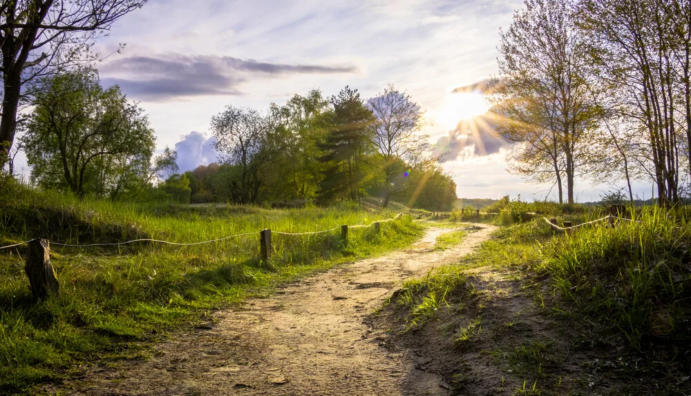 Path into silence - Fineart photography by Nils Steiner