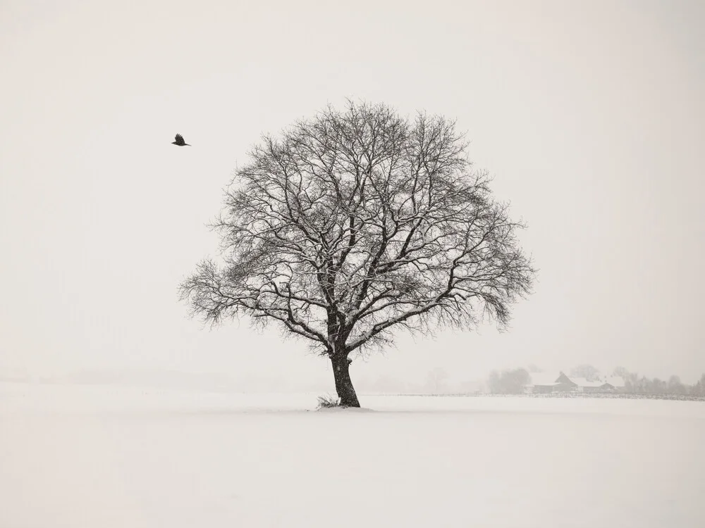Wintertag - fotokunst von Lena Weisbek