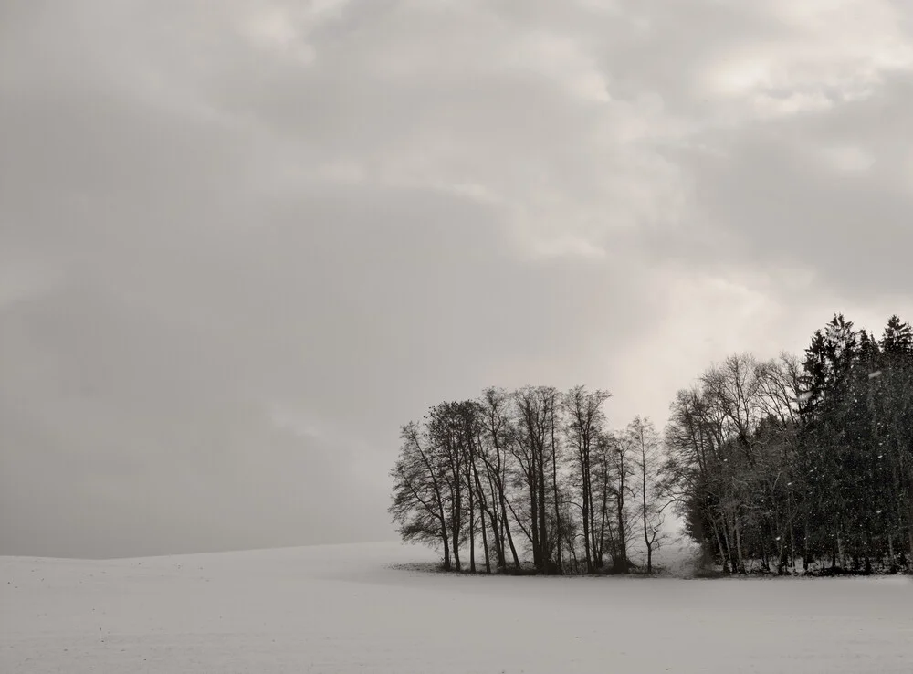 Landschaft im Winterschlaf - fotokunst von Lena Weisbek