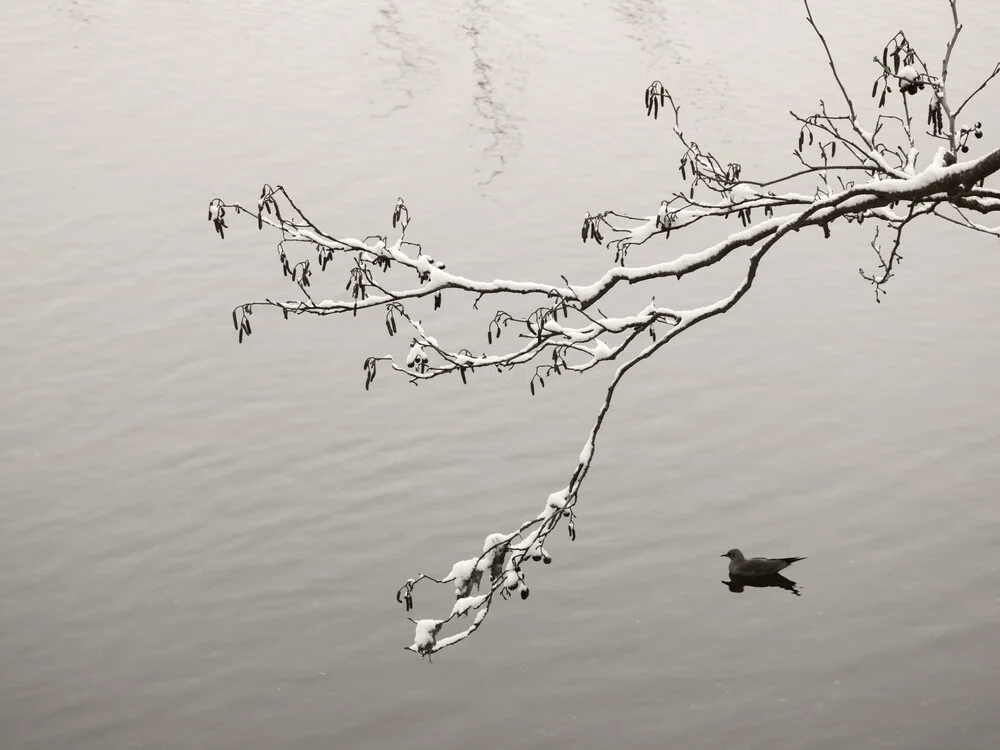 Calmness - fotokunst von Lena Weisbek