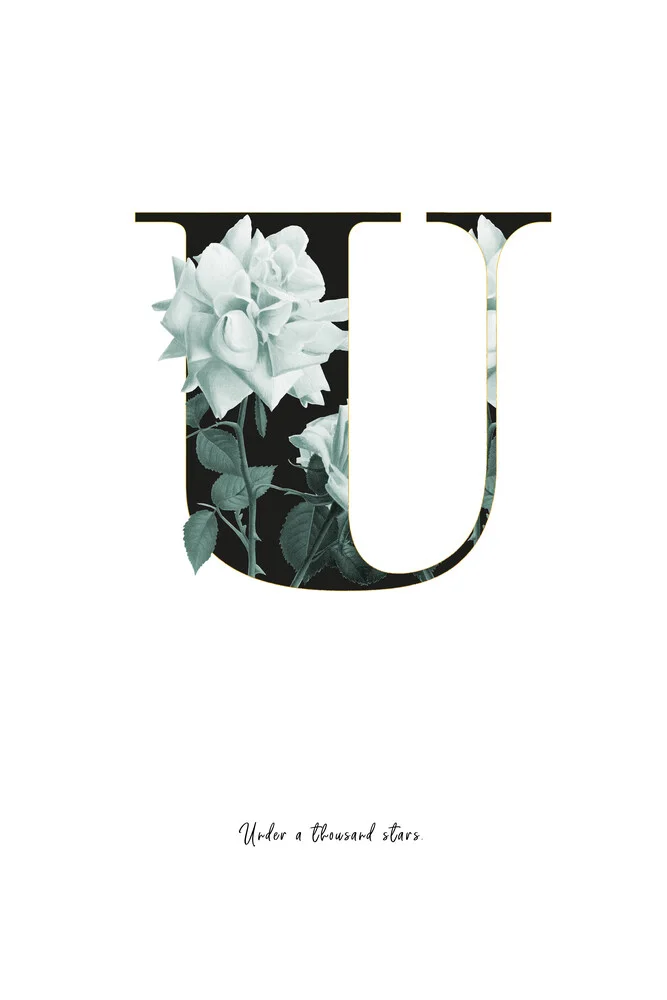 Flower Alphabet U - fotokunst von Froilein  Juno