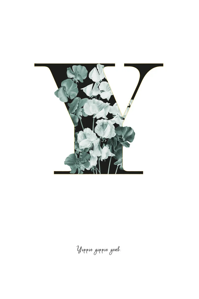 Flower Alphabet Y - fotokunst von Froilein  Juno