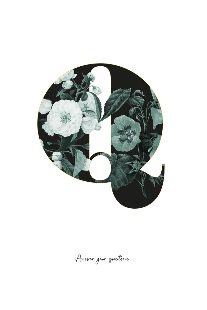 Flower Alphabet Q - fotokunst von Froilein  Juno