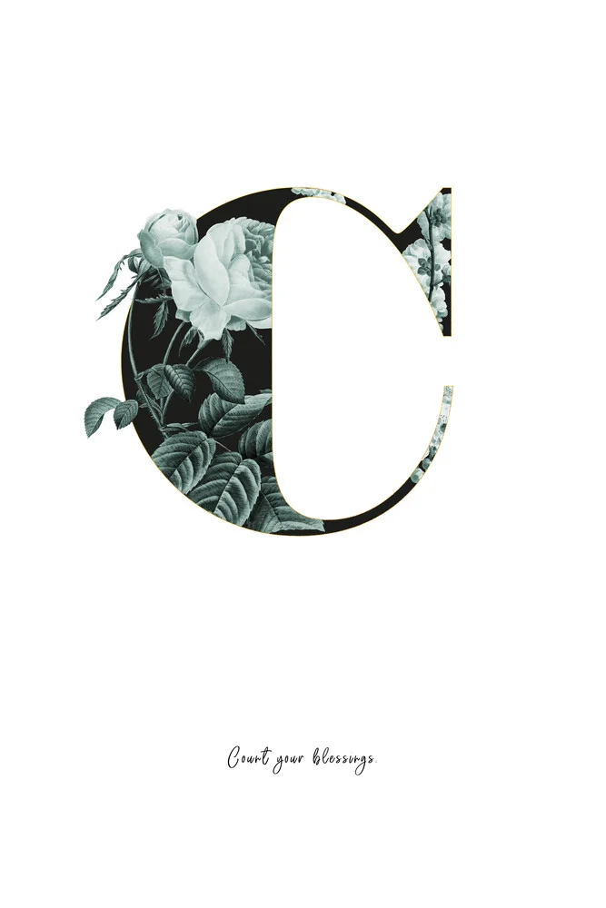 Flower Alphabet C - fotokunst von Froilein  Juno