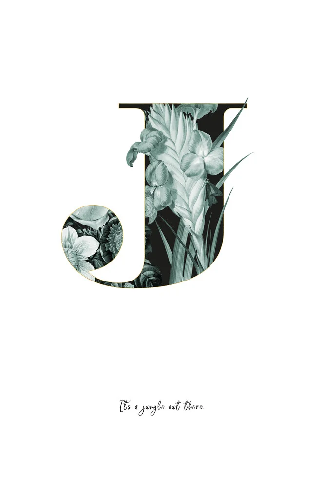 Flower Alphabet J - fotokunst von Froilein  Juno