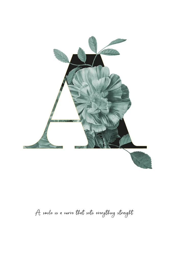 Flower Alphabet A - fotokunst von Froilein  Juno