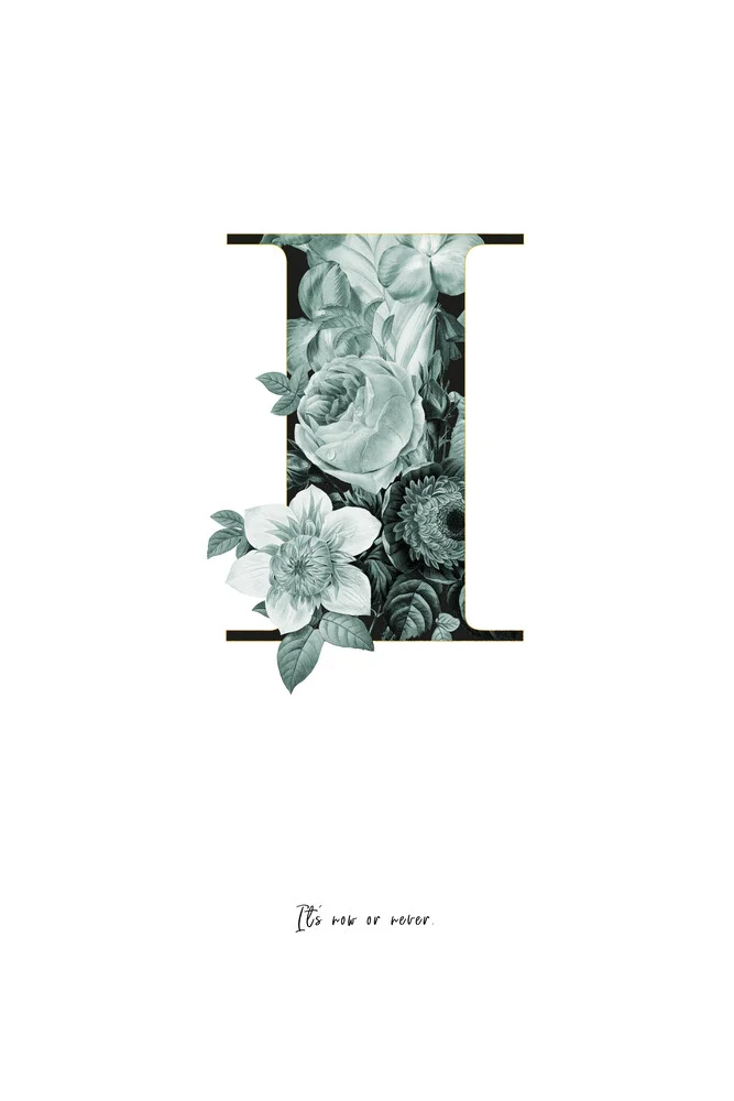 Flower Alphabet I - fotokunst von Froilein  Juno