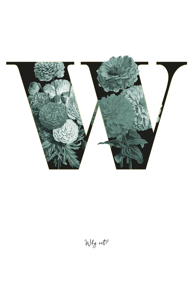 Flower Alphabet W - fotokunst von Froilein  Juno