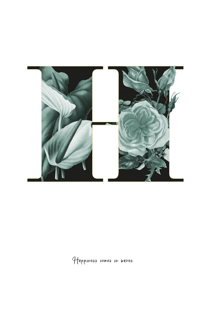 Flower Alphabet H - fotokunst von Froilein  Juno