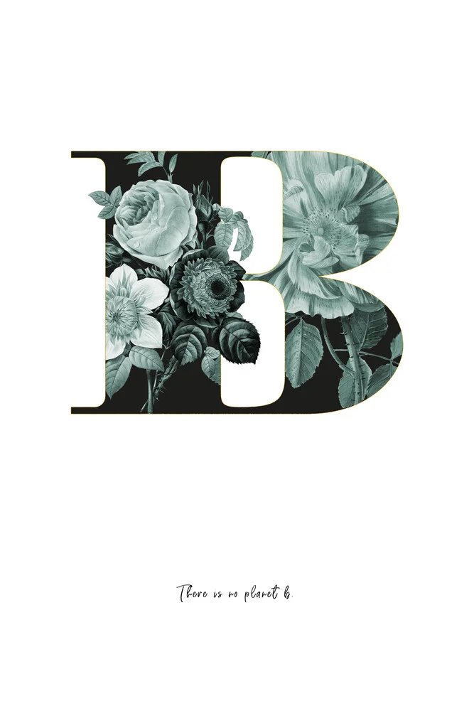 Flower Alphabet B - fotokunst von Froilein  Juno