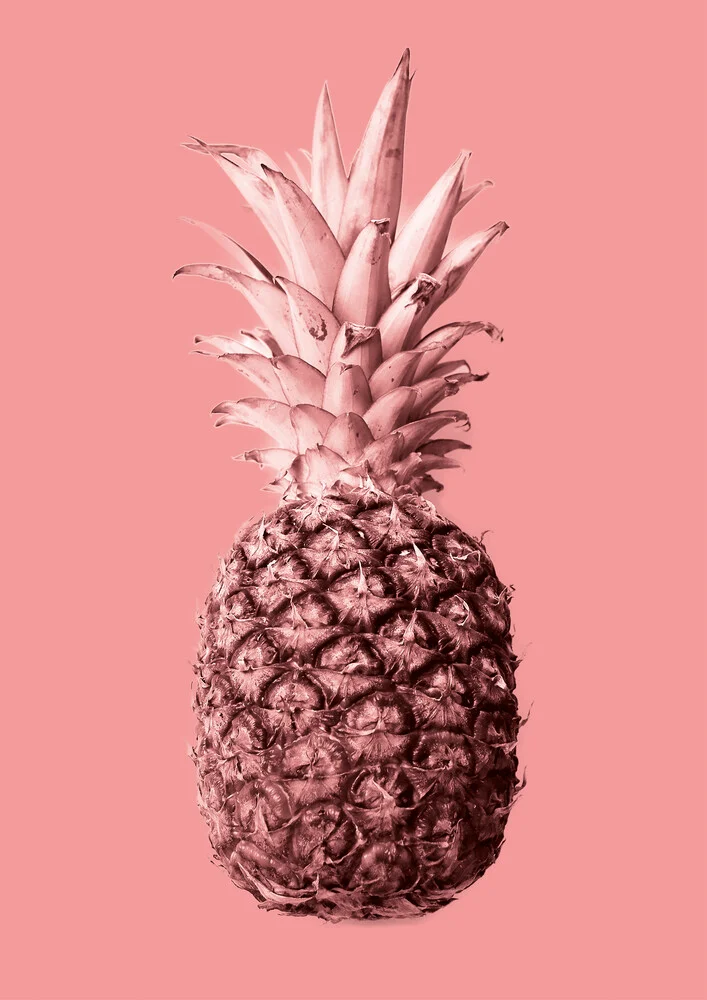 Pineapple no.4 - fotokunst von Froilein  Juno