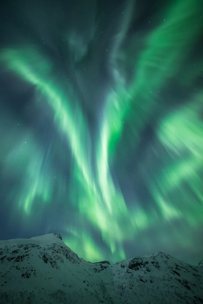 Lights of the North - fotokunst von Sebastian Worm