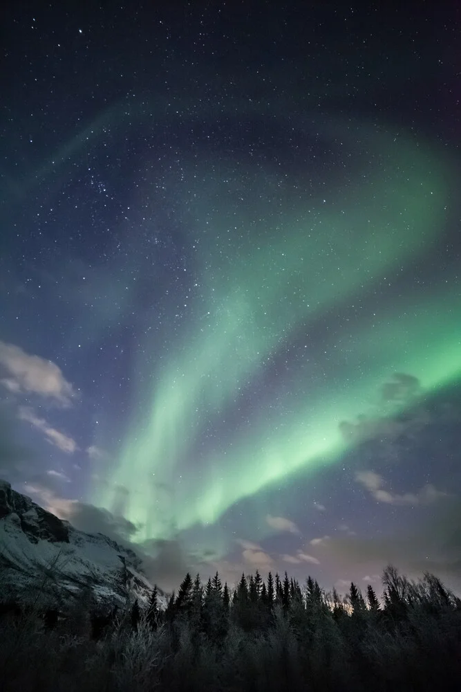 Polarlicht in Norwegen - fotokunst von Sebastian Worm
