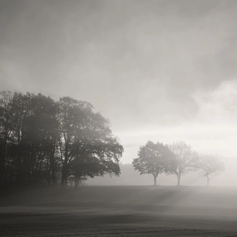 MORNING LIGHT - fotokunst von Lena Weisbek