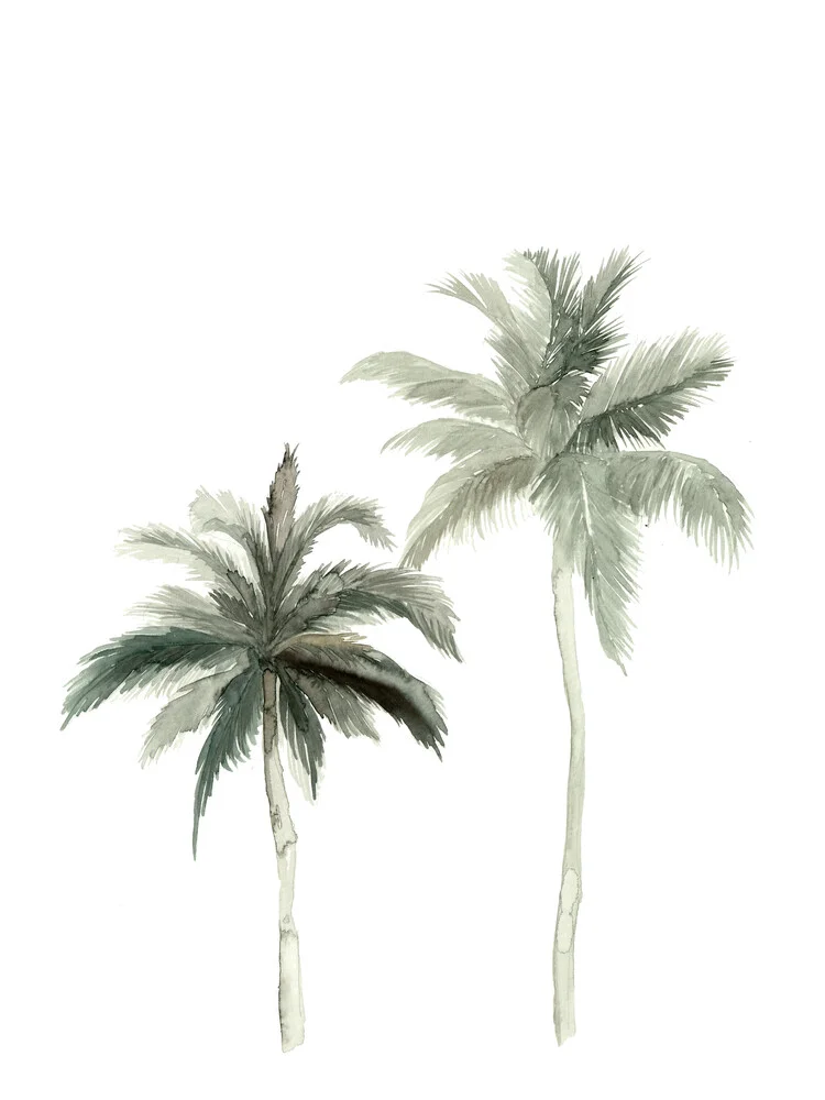Botanical palmtrees - fotokunst von Christina Wolff