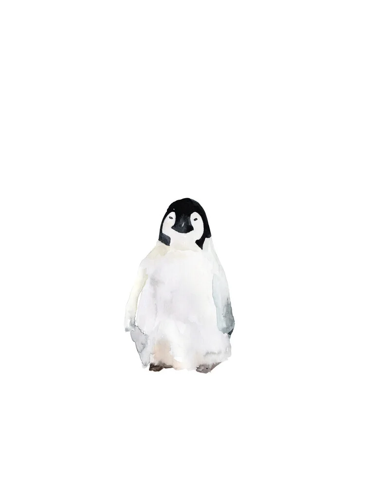 Sea Life - Penguin - fotokunst von Christina Wolff