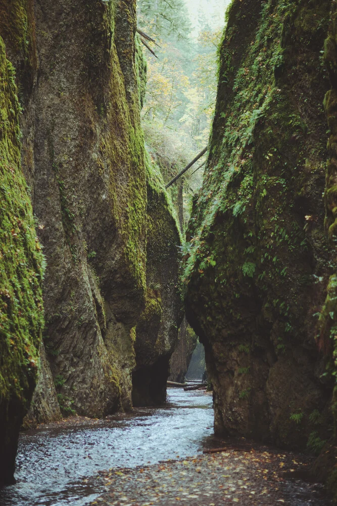 Oneonta Gorge - fotokunst von Kevin Russ