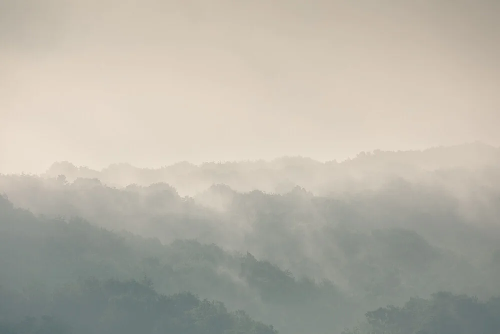 Lichtdurchfluteter Nebel über einem Wald im Siebengebirge bei Morgenstimmung