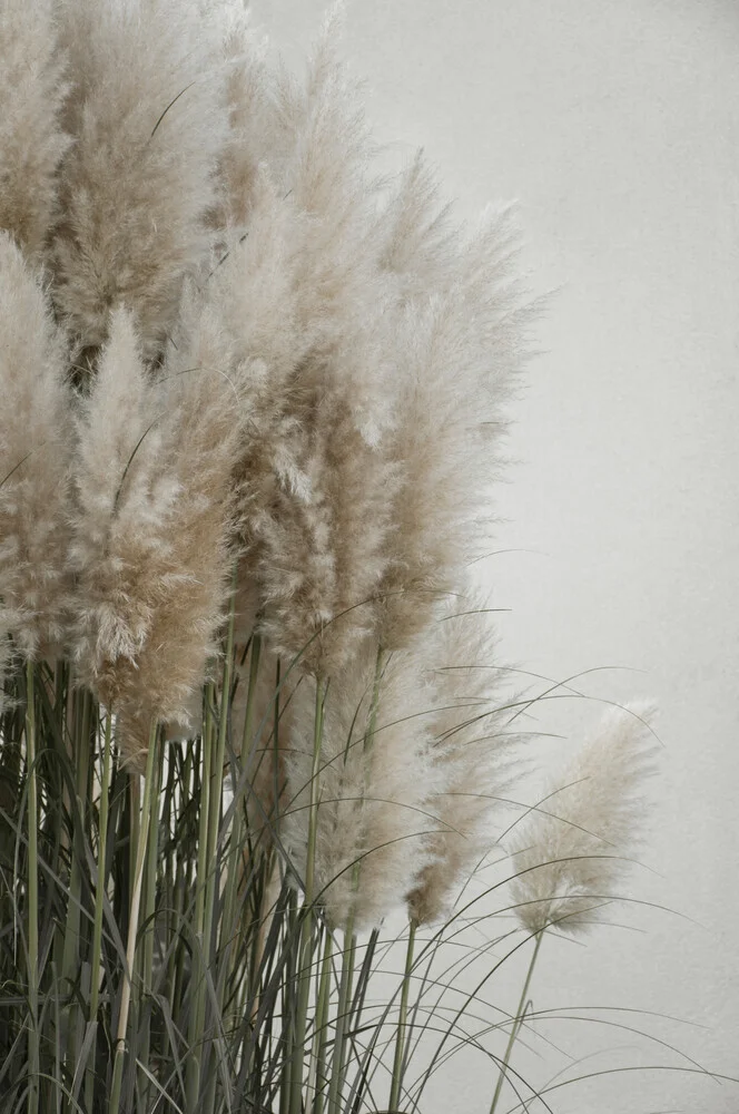 pampas grass cloudy HEAVEN - Fineart photography by Studio Na.hili