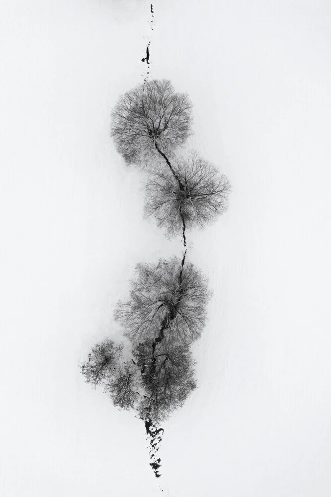 trees at a snowy ICE STREAM - Fineart photography by Studio Na.hili