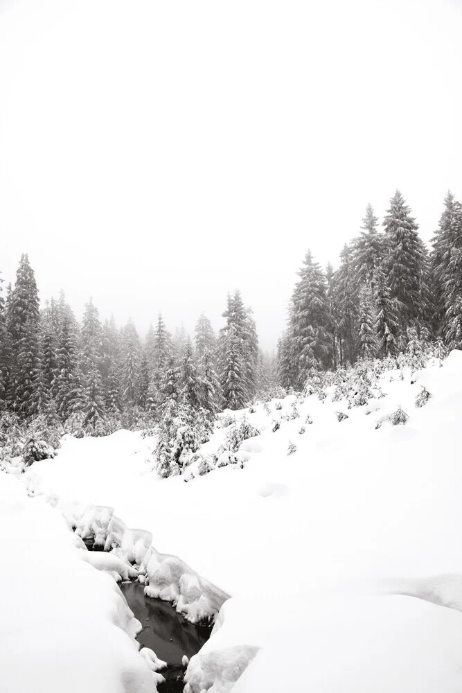 black river, white winter FOREST - fotokunst von Studio Na.hili