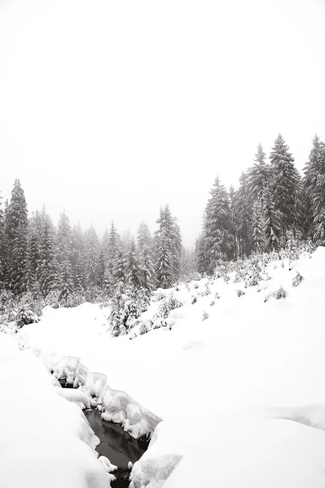 black river, white winter FOREST - Fineart photography by Studio Na.hili