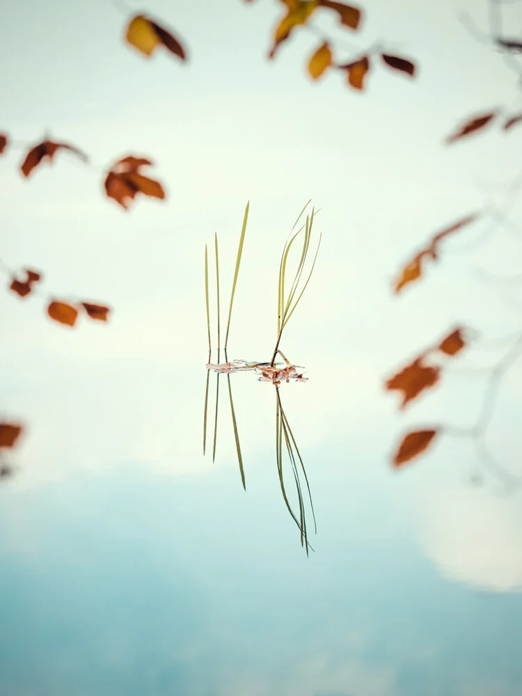 Lake in Fall - fotokunst von Holger Nimtz