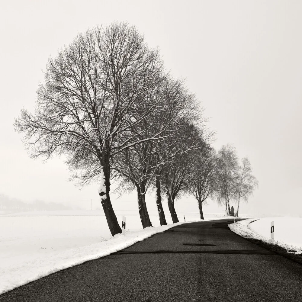 Winter Road - fotokunst von Lena Weisbek