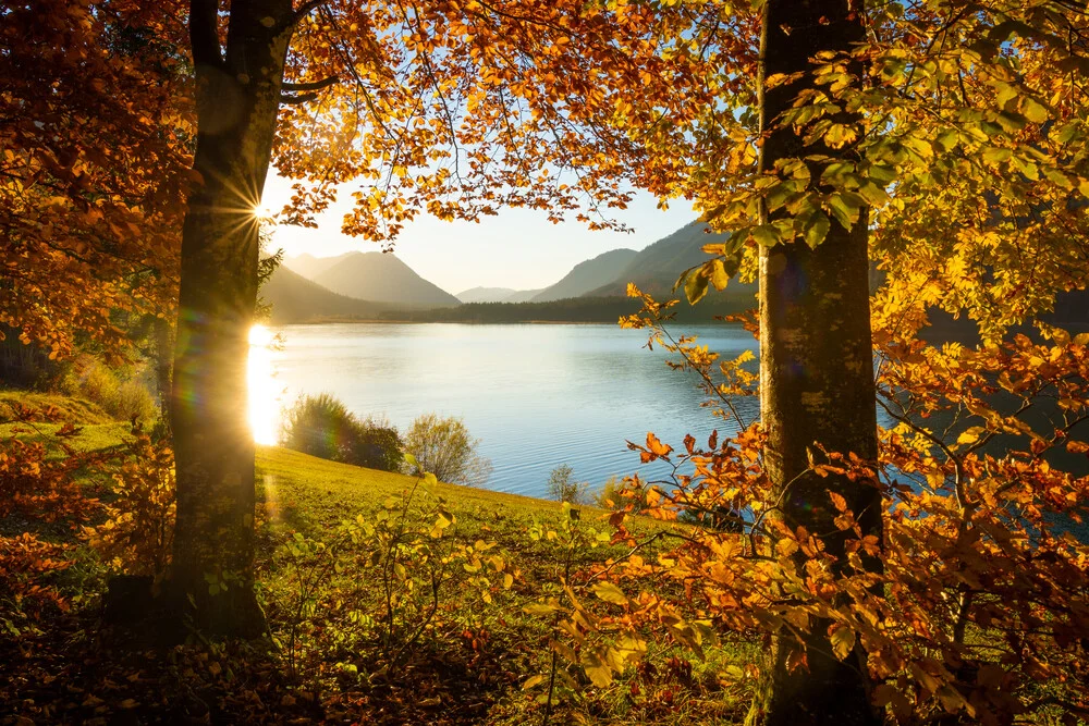 Herbst am Sylvensteinsee - fotokunst von Martin Wasilewski