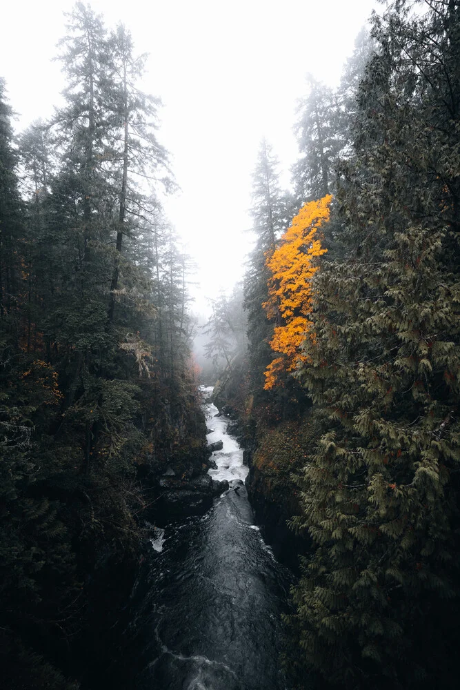 Stand Out - fotokunst von Sergej Antoni