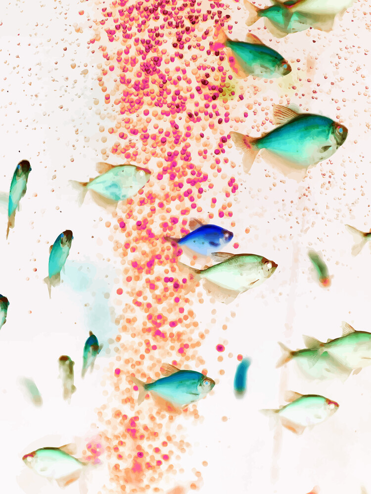 Something Fishy - fotokunst von Uma Gokhale