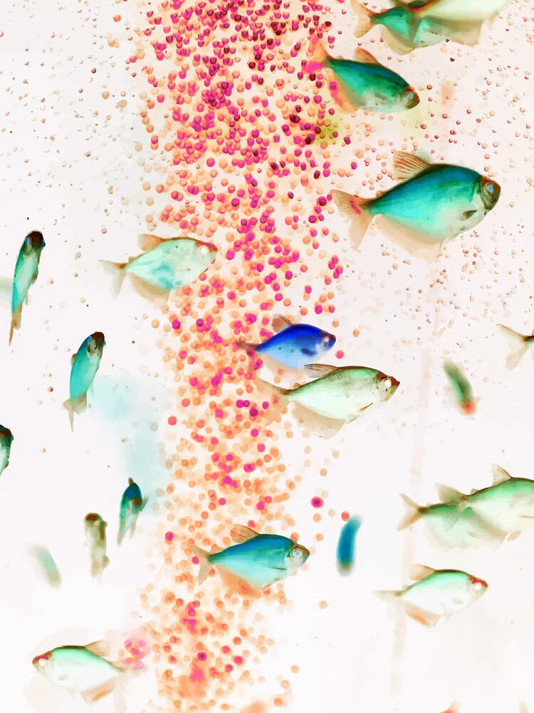 Something Fishy - Fineart photography by Uma Gokhale