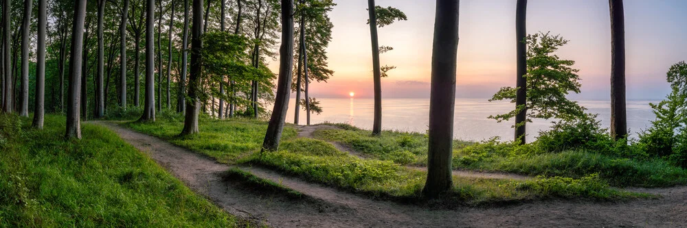 Nationalpark Jasmund auf der Insel Rügen - fotokunst von Jan Becke