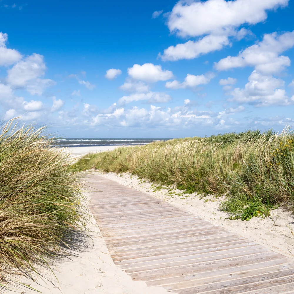 Path to the beach - Fineart photography by Jan Becke