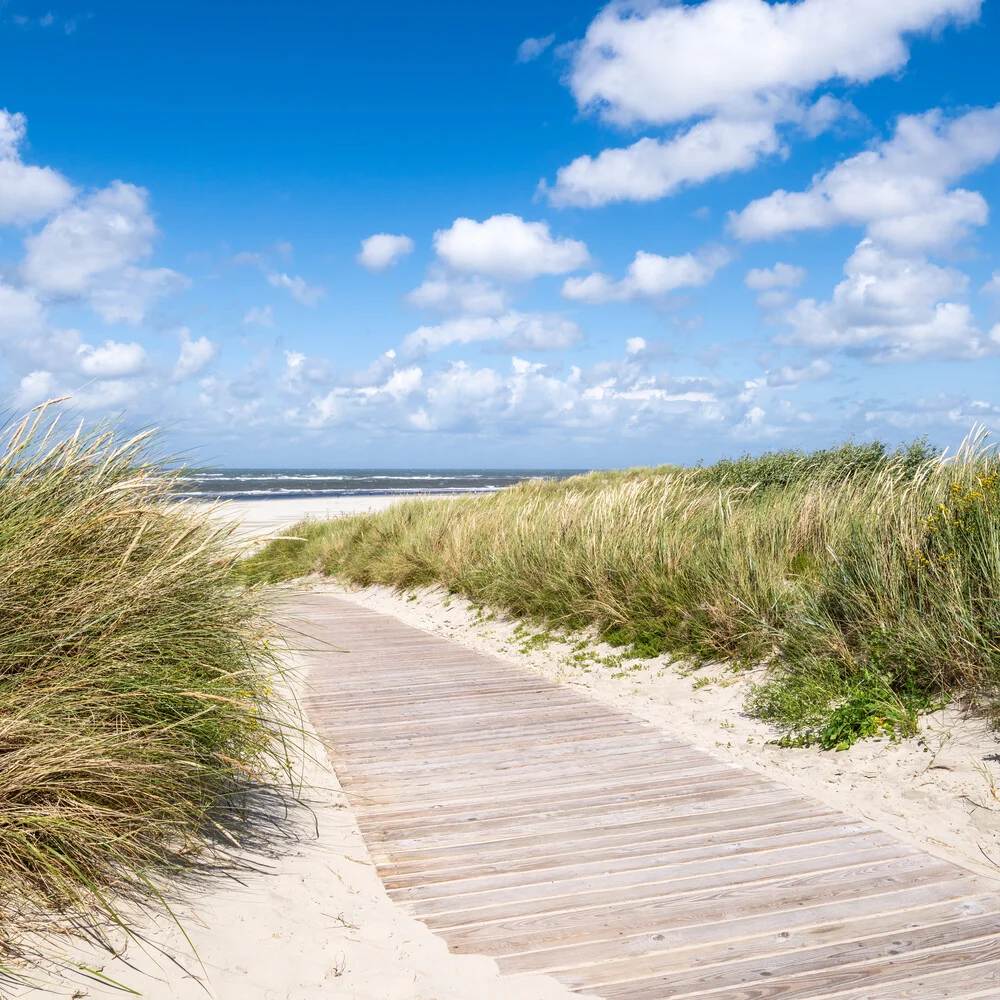 Weg zum Strand - fotokunst von Jan Becke