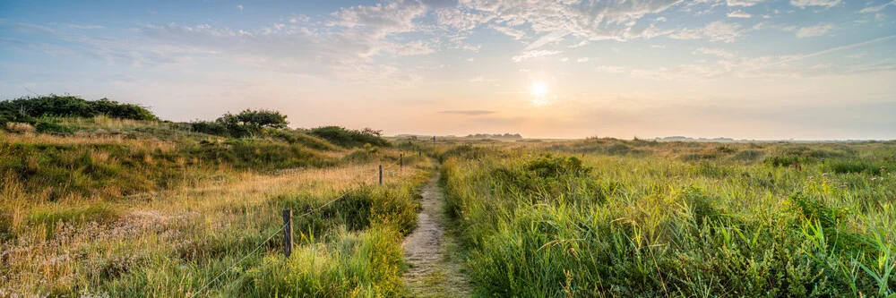 Sonnenaufgang am Naturlehrpfad Flinthörn auf Langeoog - fotokunst von Jan Becke