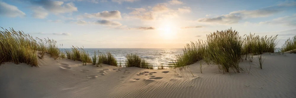 Dünenlandschaft Panorama bei Sonnenuntergang - fotokunst von Jan Becke