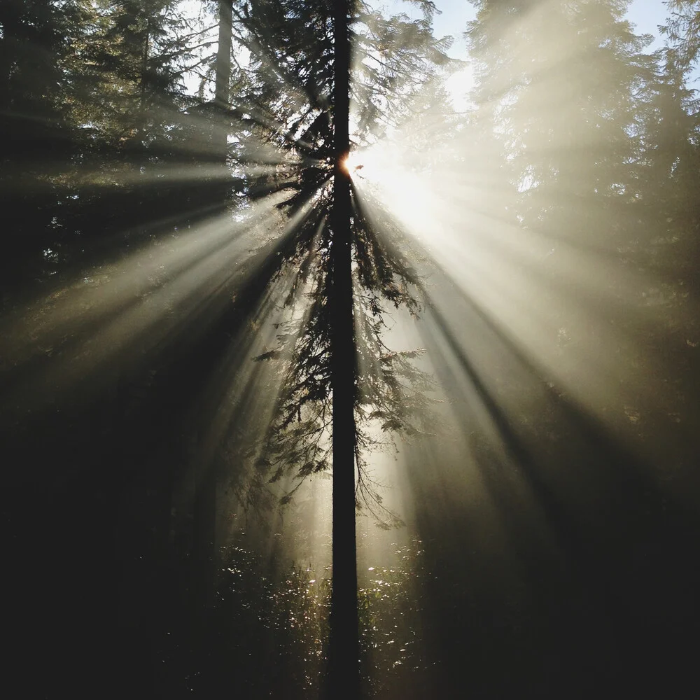 Umpqua Rays - fotokunst von Kevin Russ