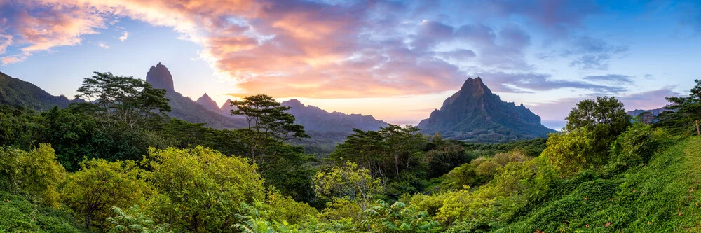 Blick vom Belvedere Lookout auf Moorea bei Sonnenuntergang - fotokunst von Jan Becke