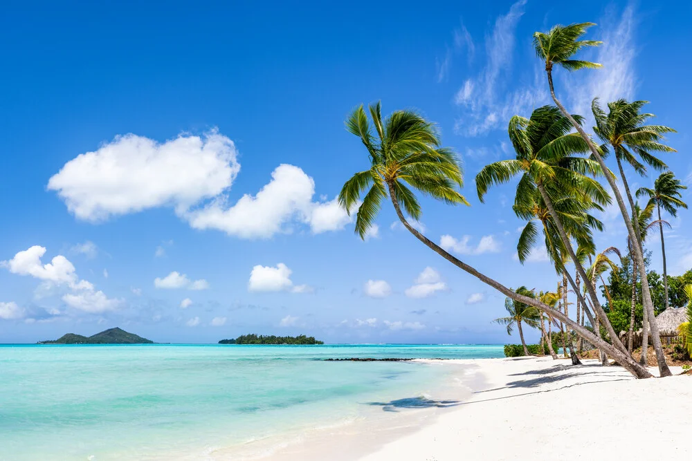Palmenstrand auf Bora Bora - fotokunst von Jan Becke