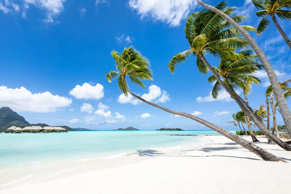 Beach with palm trees on Bora Bora - Fineart photography by Jan Becke