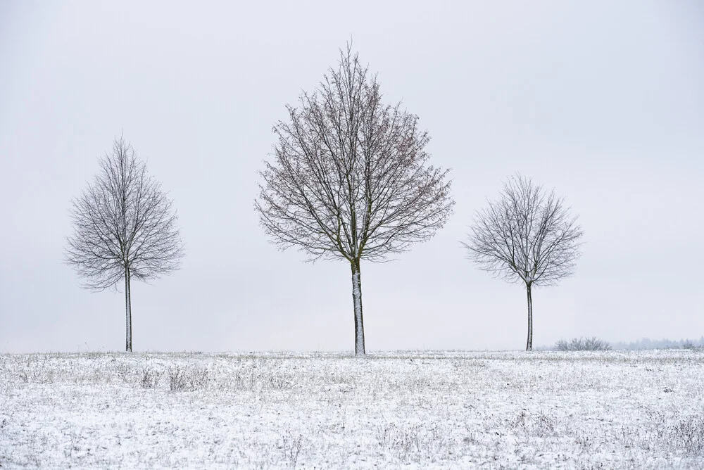 Minimalism - fotokunst von Helmut Pfirrmann