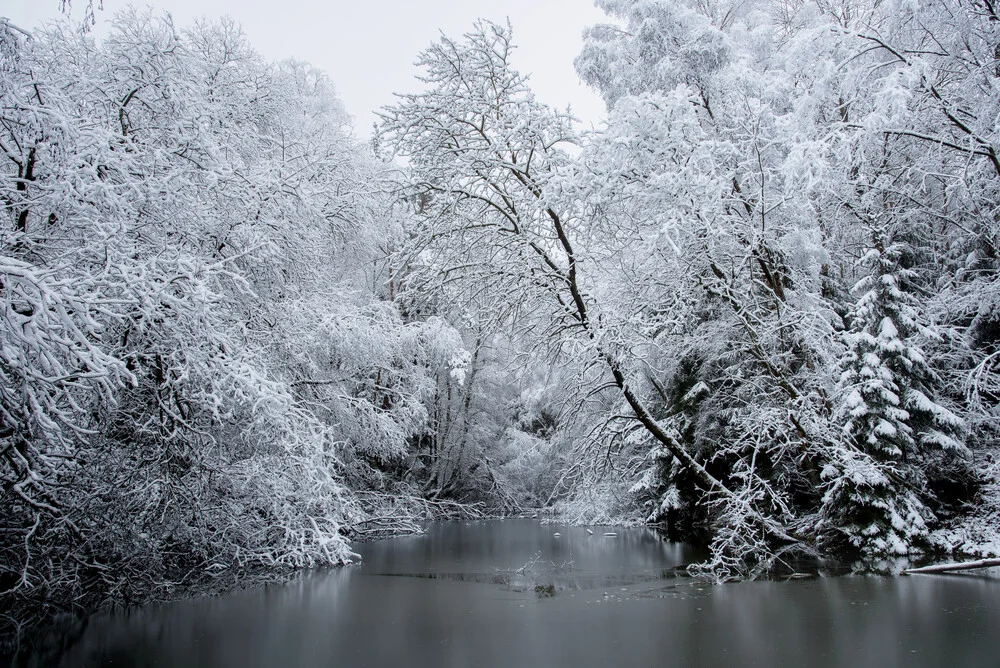 Frozen - Fineart photography by Helmut Pfirrmann