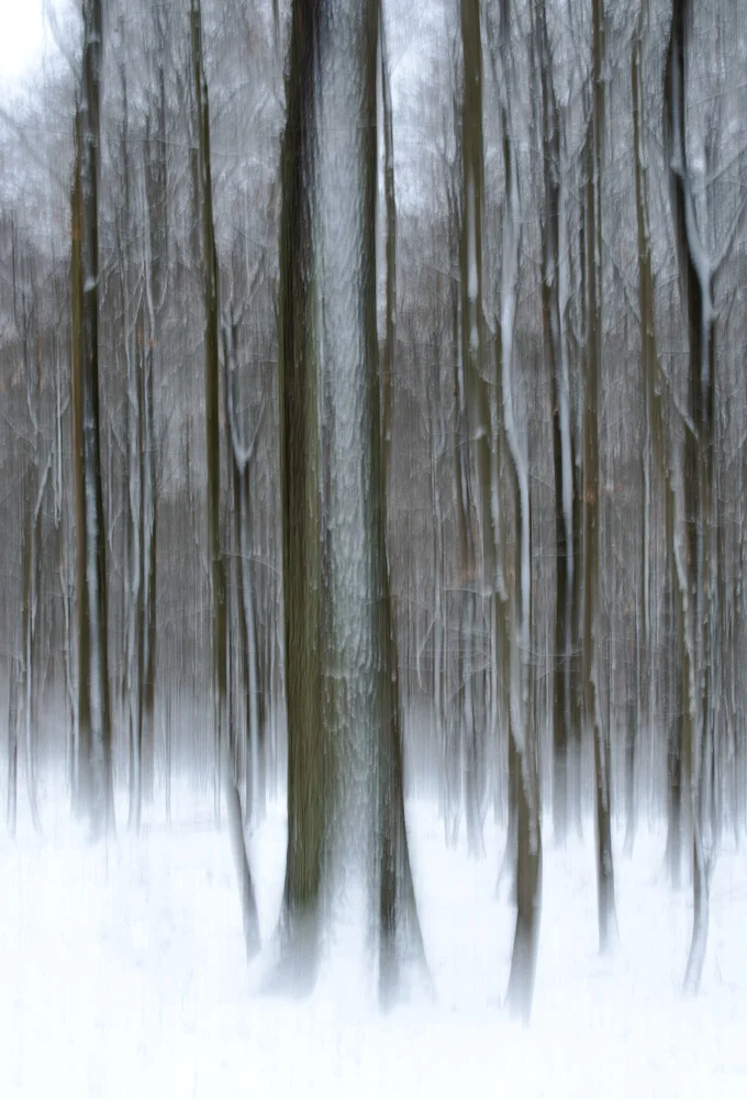 Winterwald - fotokunst von Helmut Pfirrmann