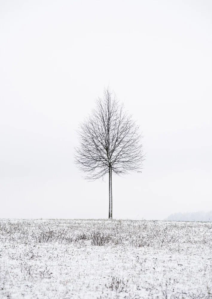 Alone - Fineart photography by Helmut Pfirrmann