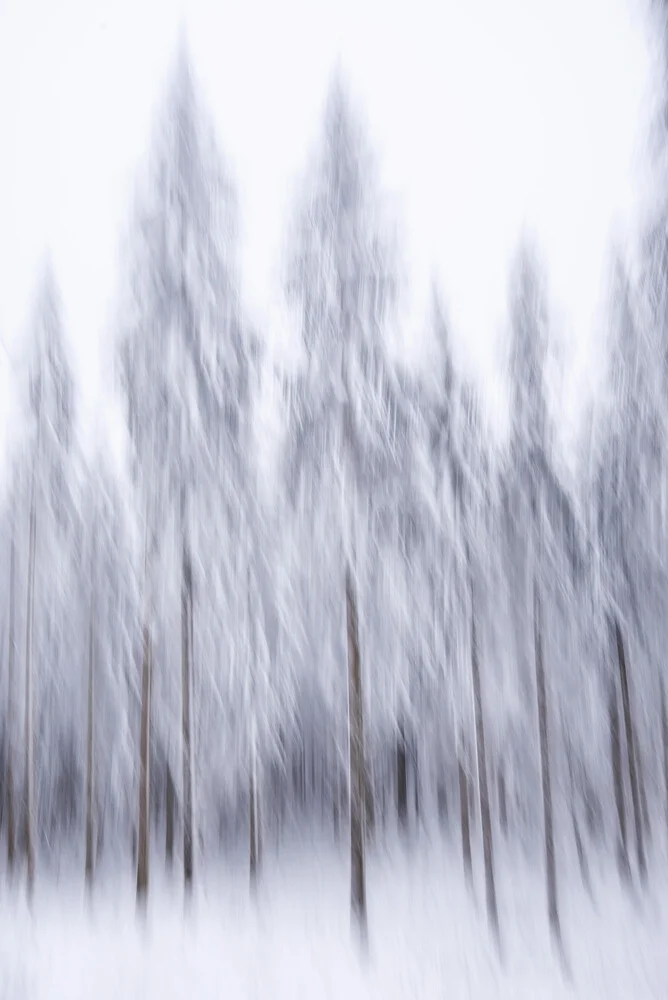 Forest symphony - fotokunst von Helmut Pfirrmann