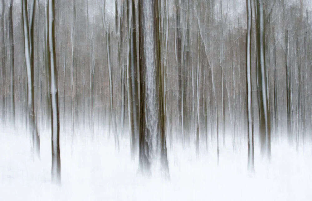 snowy winter forest - fotokunst von Helmut Pfirrmann