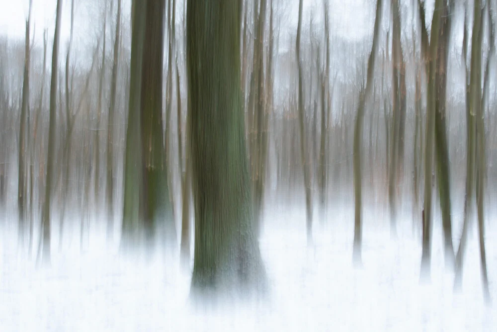 Enchanted - fotokunst von Helmut Pfirrmann